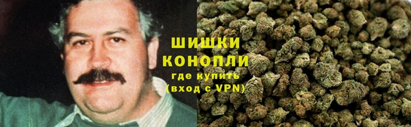 дживик Балахна